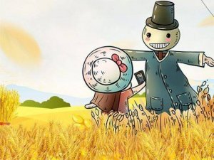 Harvest Season Picture Puzzle