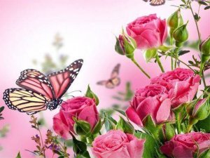 Butterflies Puzzle Online Game - Jigsaw Puzzle