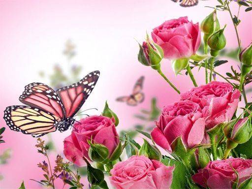 Butterflies Puzzle Online Game - Jigsaw Puzzle