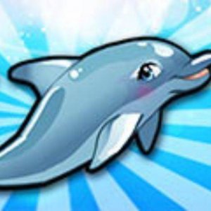 My Dolphin Show 4 Online Game