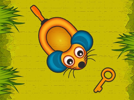 Key Collector Mouse Adventure