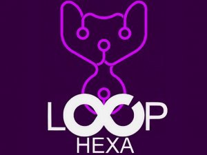 Loop Hexa Puzzle Game - Puzzle Game