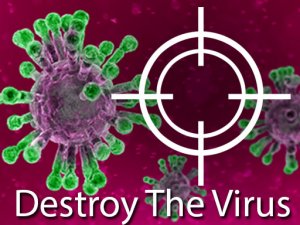 Destroy The Corona Virus Online Game Arcade Game
