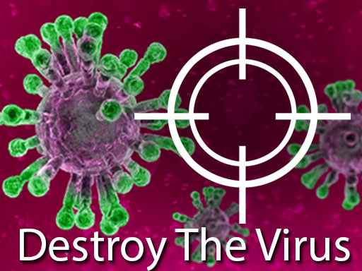 Destroy The Corona Virus Online Game Arcade Game