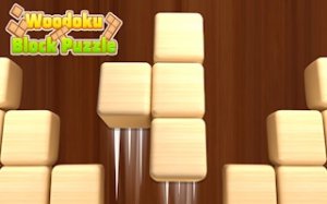 Woodoku Block Puzzle Game