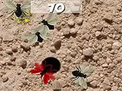 Smash the Flies Arcade Game