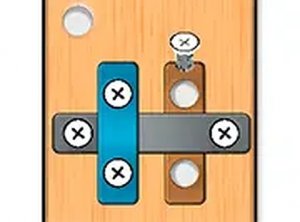 Timber Logic Puzzle
