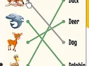 Picture Word Association Puzzle